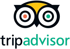 1200px-tripadvisor-logo.svg-240x167